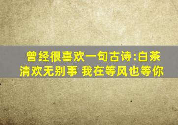 曾经很喜欢一句古诗:白茶清欢无别事 我在等风也等你